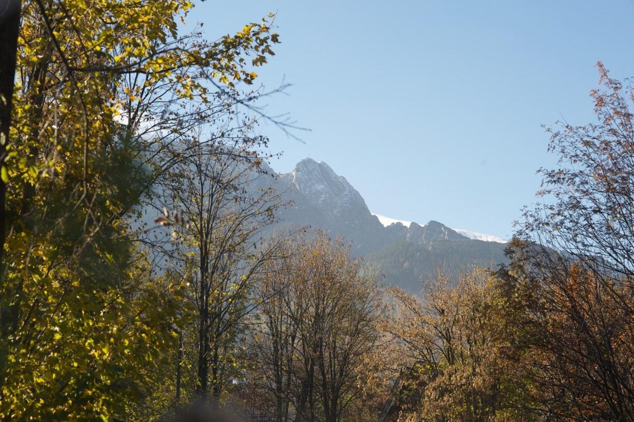 Apartament Pod Orlem Zakopane Kültér fotó
