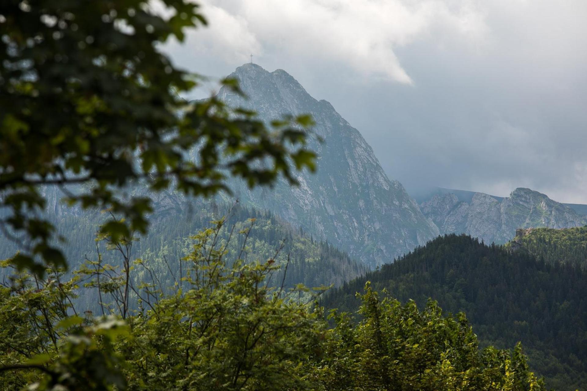 Apartament Pod Orlem Zakopane Kültér fotó