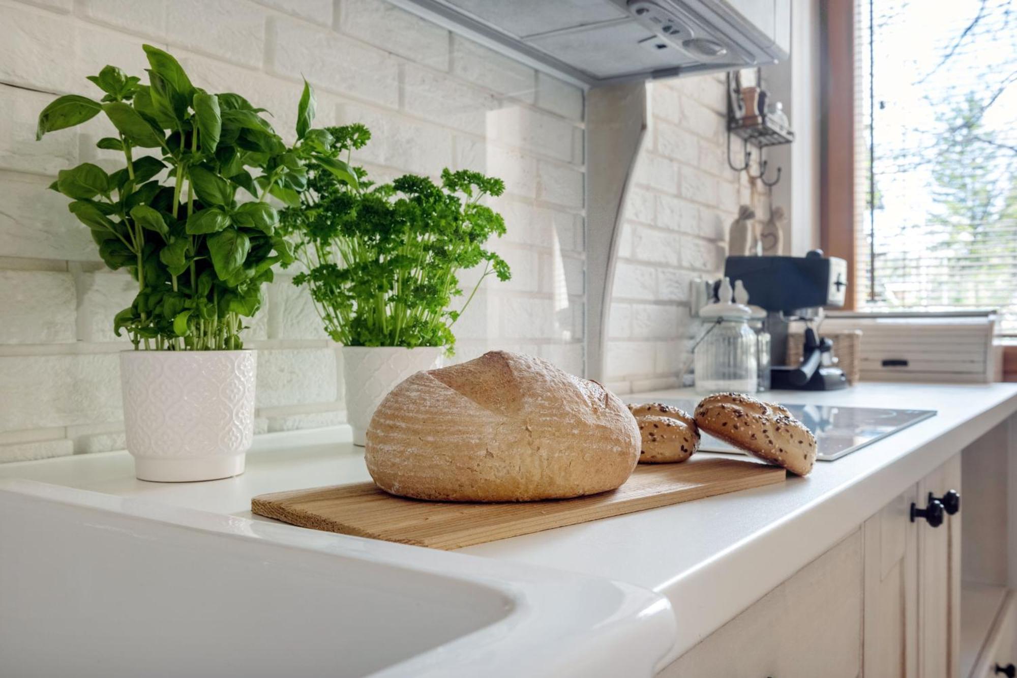 Apartament Pod Orlem Zakopane Kültér fotó